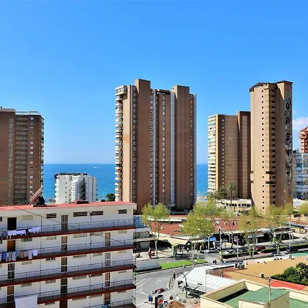 Don Paco 8-b * Alicante