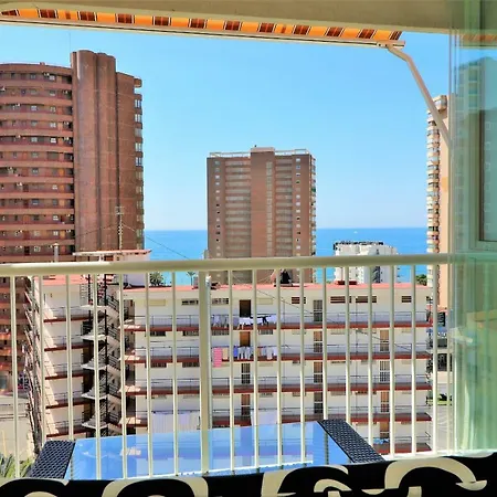 Don Paco 8-b * Alicante
